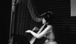 竖琴演奏视频,竖琴演奏视频中的音乐魅力与技巧解析