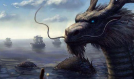 龙的视频,探寻神秘生物的传奇故事